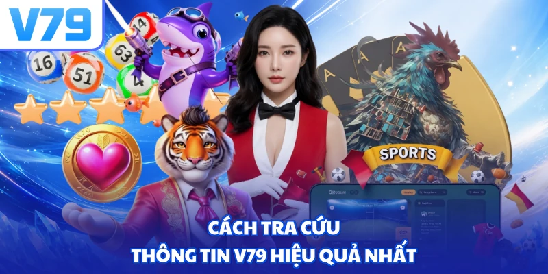 Cách tra cứu thông tin V79 hiệu quả nhất
